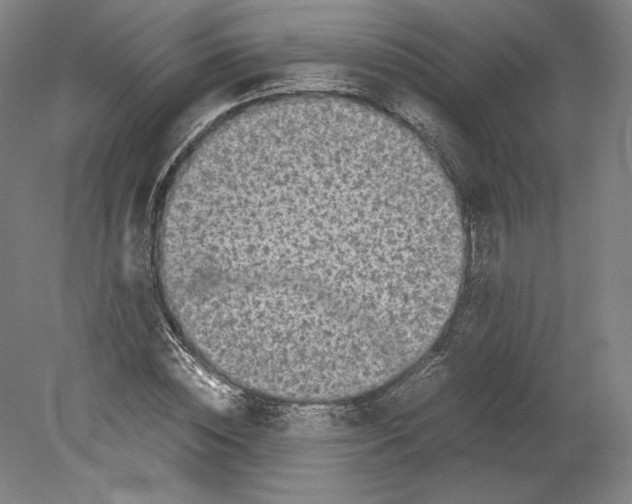 X0000080160828200701051603