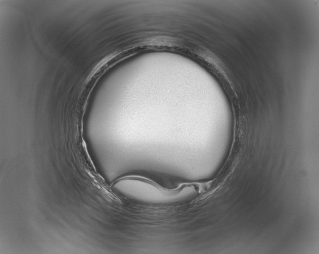 X0000080160829200701051603