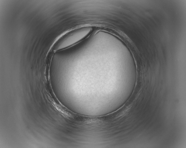 X0000080160830200701051603