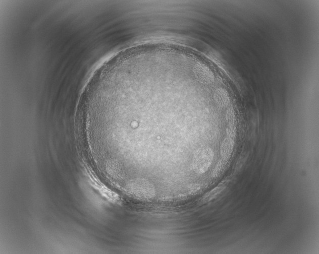 X0000080160832200701051603