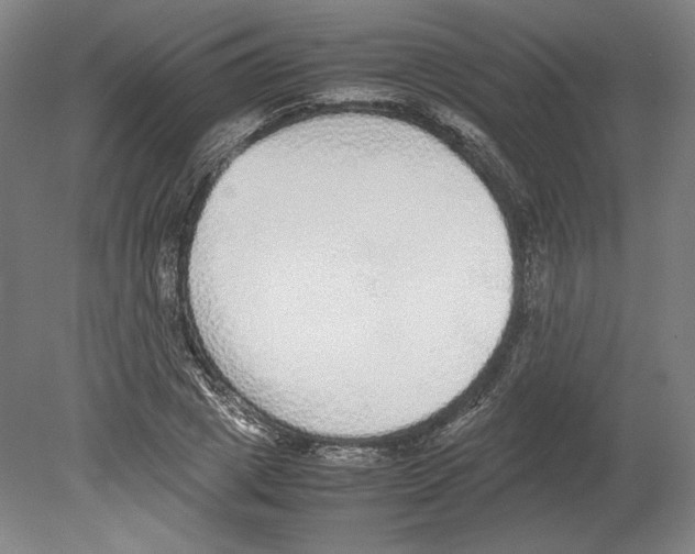 X0000080160833200701051603