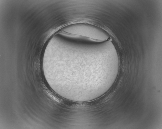 X0000080160834200701051603