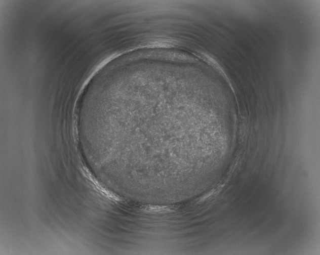 X0000080160835200701051603