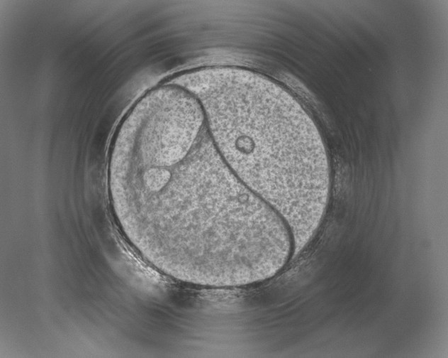 X0000080160836200701051603