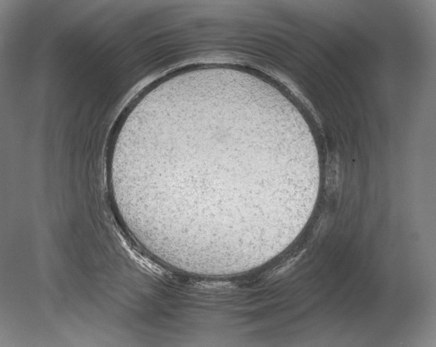 X0000080160837200701051603