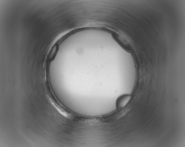 X0000080160838200701051603