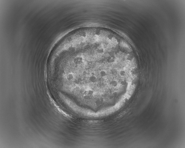 X0000080160839200701051603