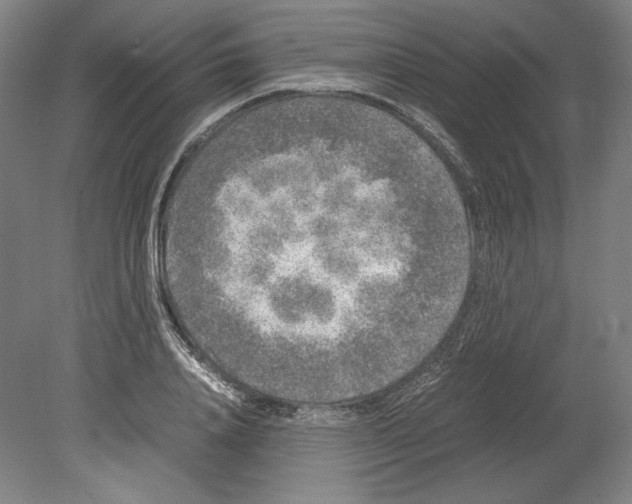 X0000080160840200701051603