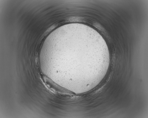 X0000080160841200701051603