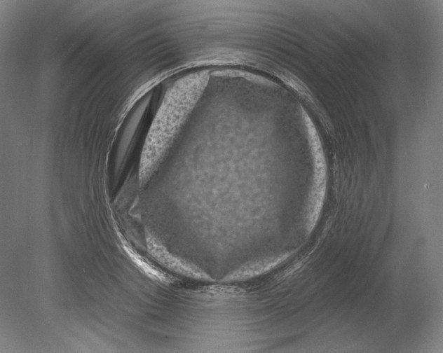 X0000080160842200701051603