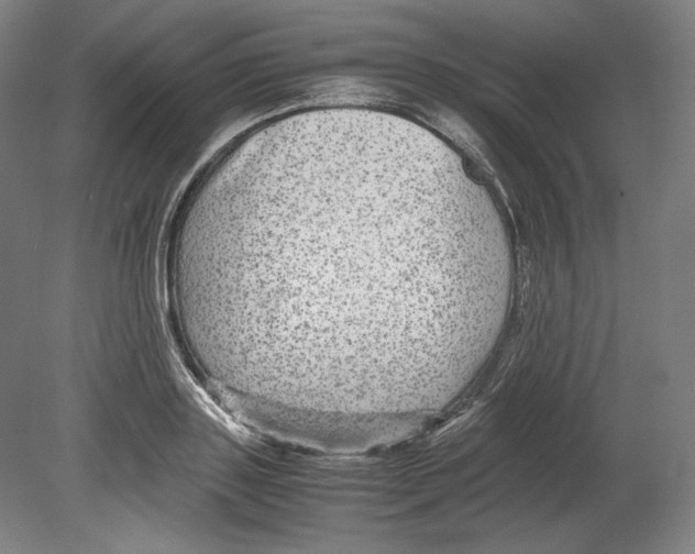 X0000080160843200701051603