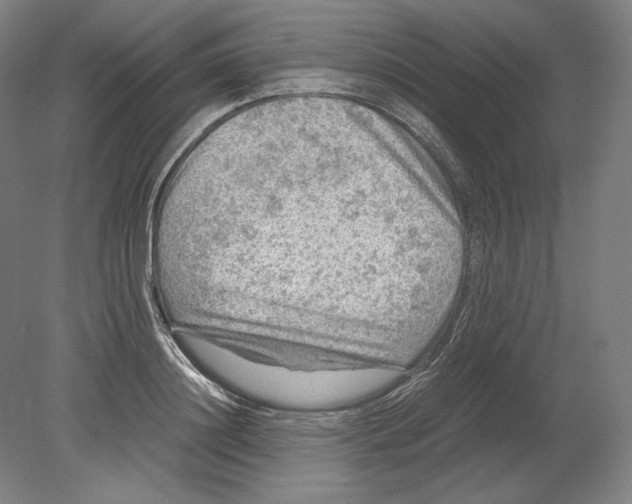 X0000080160844200701051603