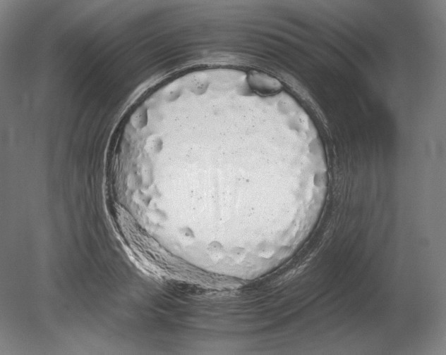 X0000080160845200701051603