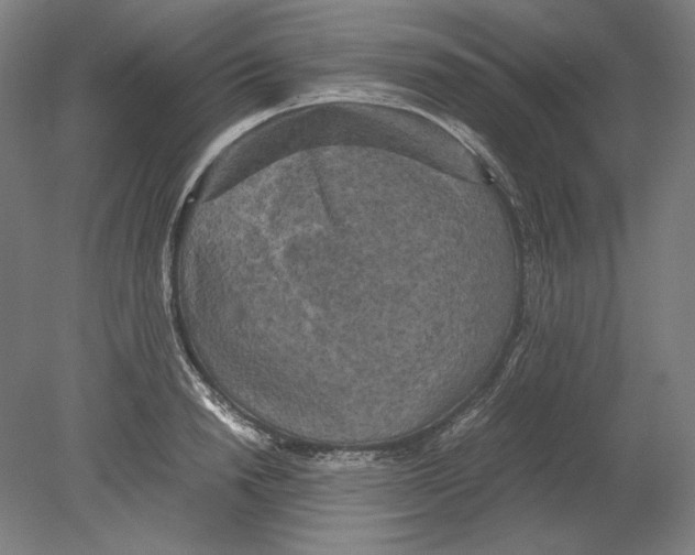 X0000080160846200701051603