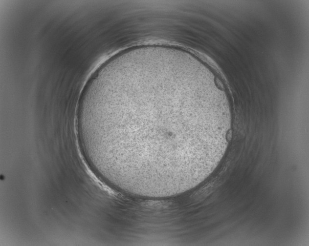 X0000080160847200701051603