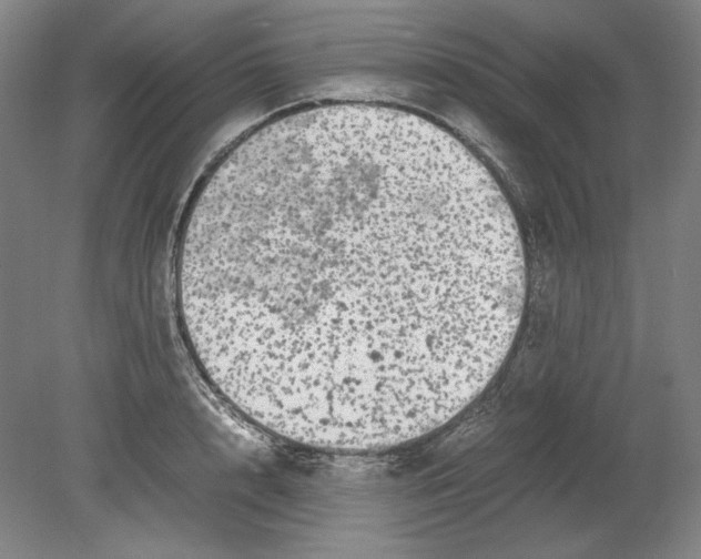 X0000080160848200701051603