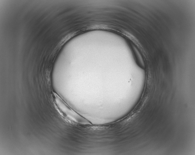 X0000080160849200701051603