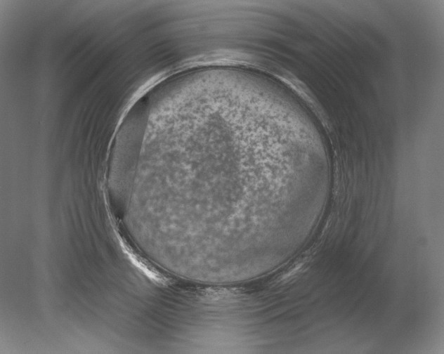 X0000080160850200701051603