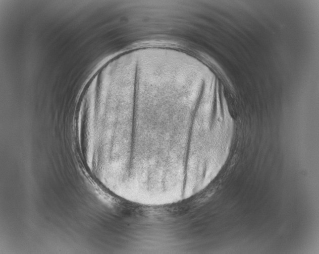 X0000080160852200701051603