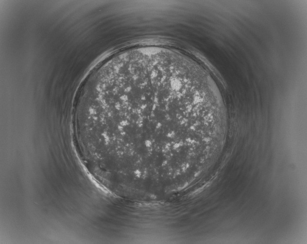 X0000080160853200701051603