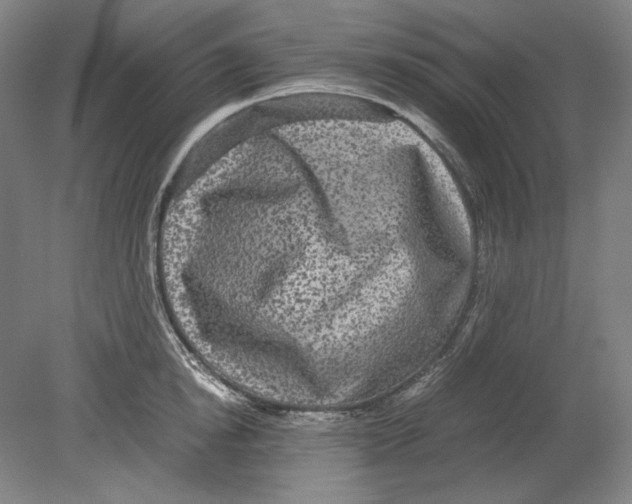 X0000080160854200701051603