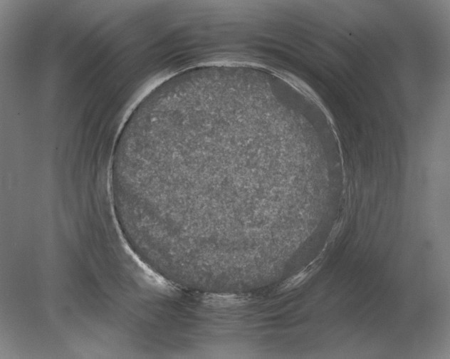 X0000080160855200701051603