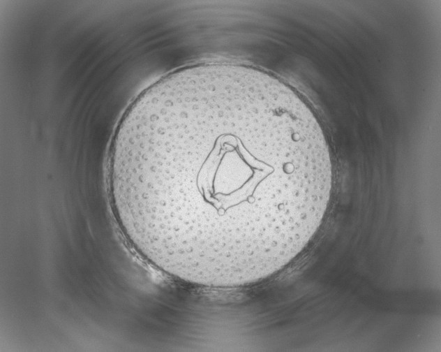 X0000080160856200701051603