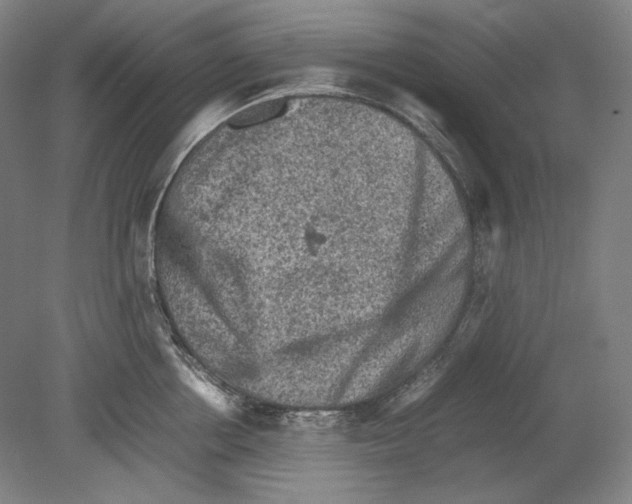 X0000080160858200701051603