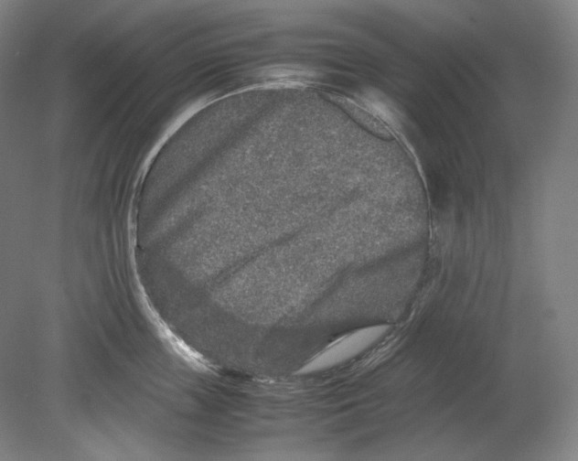 X0000080160859200701051603