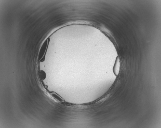 X0000080160860200701051603