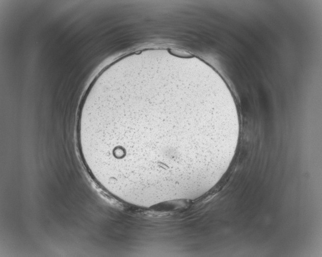 X0000080160861200701051603