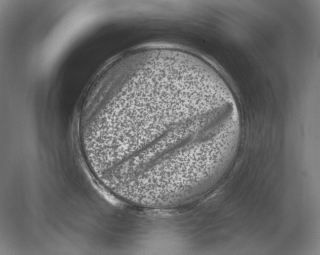 X0000080160862200701051603