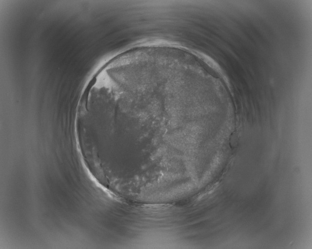 X0000080160863200701051603