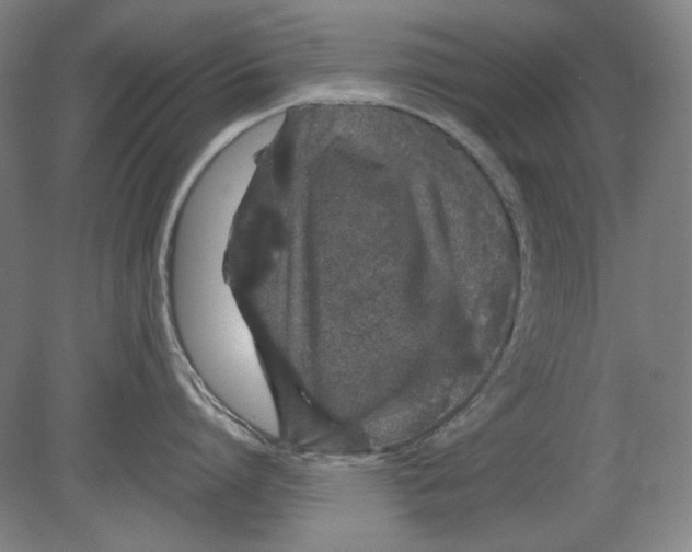 X0000080160864200701051603