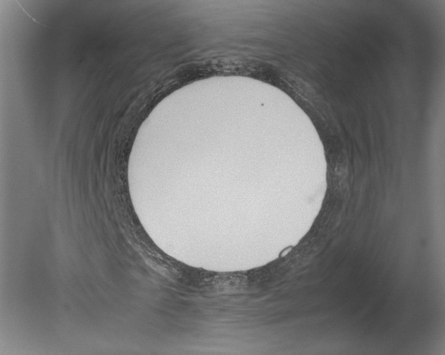 X0000080160865200701051603