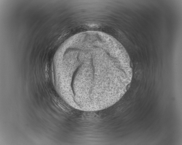 X0000080160866200701051603