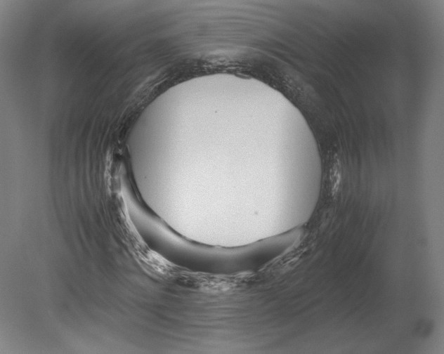 X0000080160868200701051603