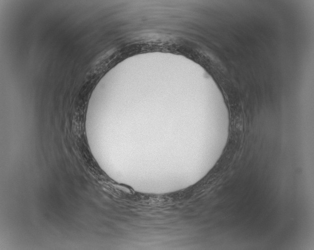 X0000080160869200701051603