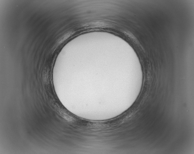 X0000080160873200701051602