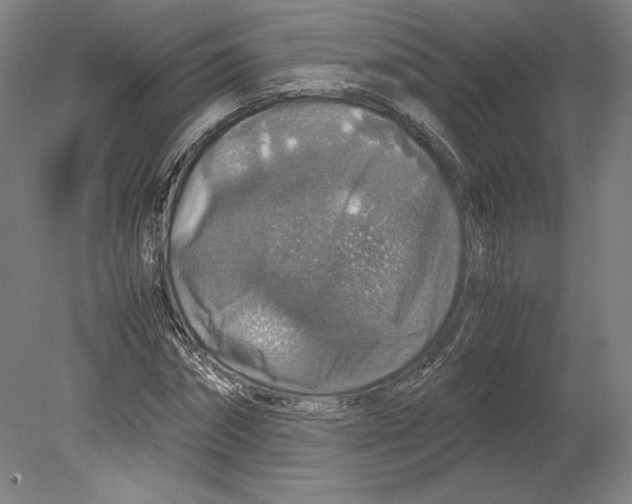 X0000080160874200701051602