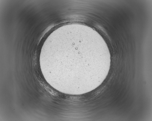 X0000080160875200701051602