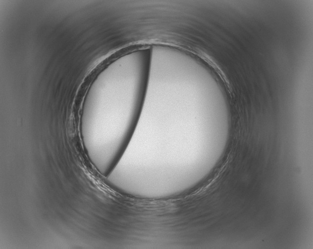 X0000080160876200701051602