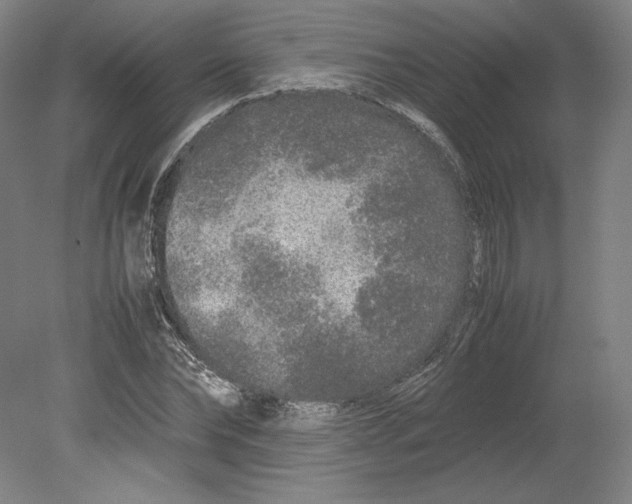 X0000080160878200701051602