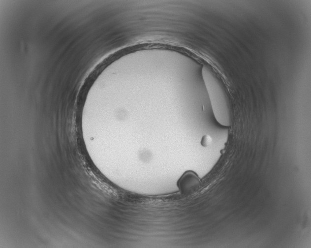 X0000080160880200701051602