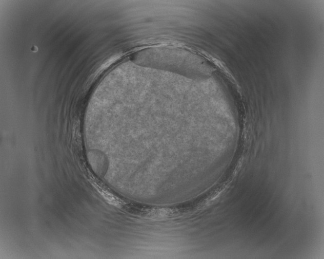 X0000080160881200701051602