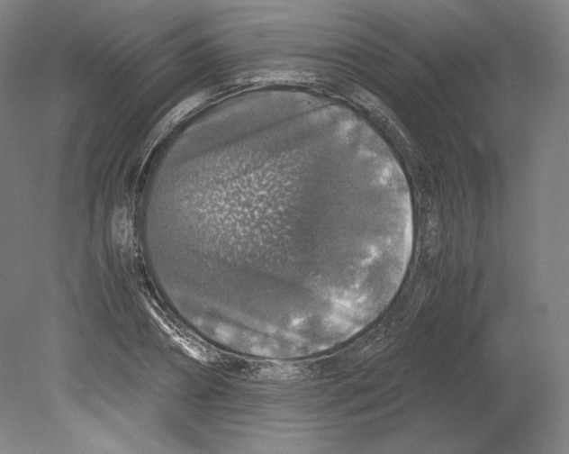 X0000080160882200701051602