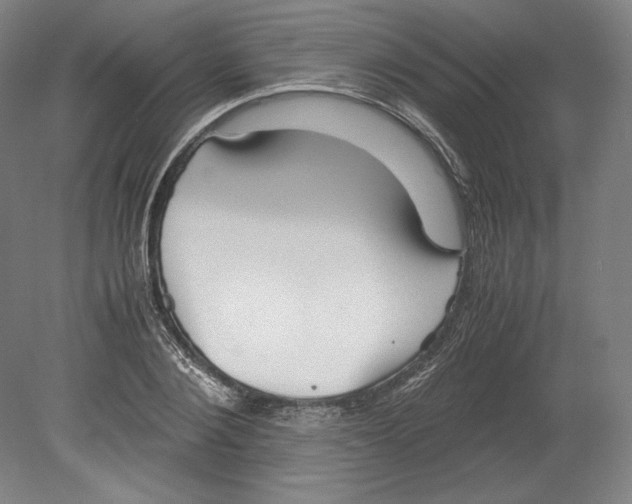 X0000080160884200701051602