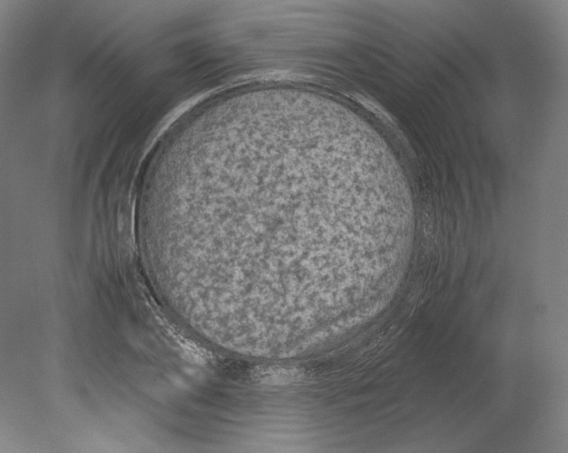 X0000080160886200701051602