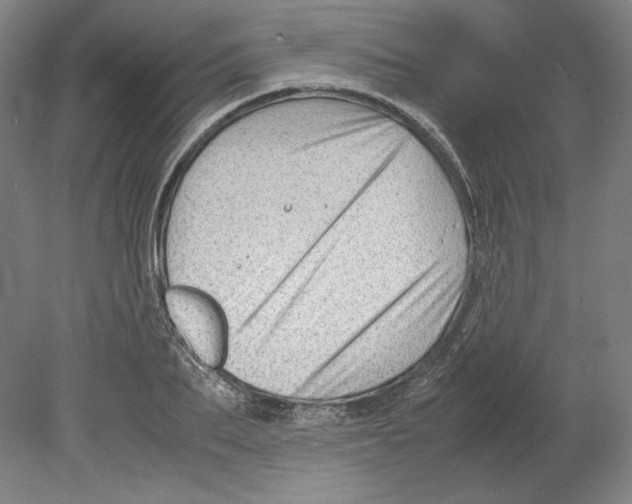 X0000080160887200701051602