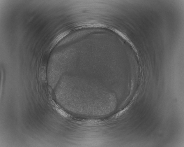 X0000080160889200701051602